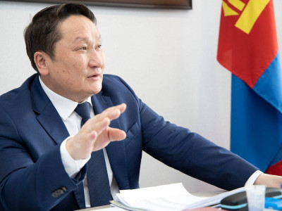 Н.Ганибал: АН бүрэн шинэчлэгдсэний дараа Ерөнхийлөгчид нэр дэвшигчээ тодруулна