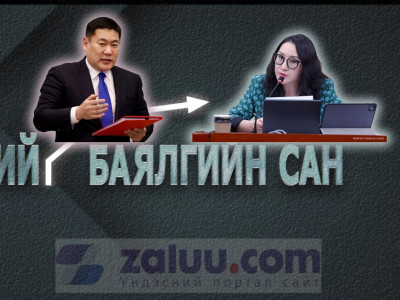 Шалтаг нь “...Баярцогт” шалтгаан нь Баялгийн сан