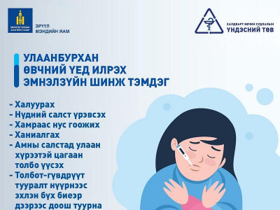 ХӨСҮТ: Улаанбурханаар өвдсөн 5 хүн тутмын 1 нь хүндрэх эрсдэлтэй