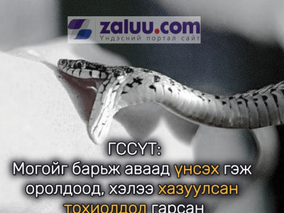 ГССҮТ: Могой барьж аваад, үнсэх гэж оролдоод хэлээ хазуулсан тохиолдол байдаг