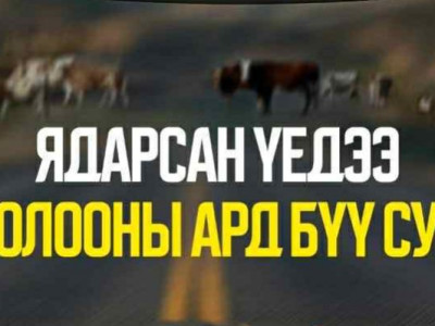 Хайртай хүнээ өөрийн гараар хөнөөхийг хэн ч хүсдэггүй