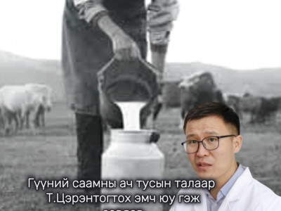 Гүүний саамны ач тусын талаар Т.Цэрэнтогтох эмч юу гэж зөвлөв