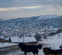 ТАЙЛАН: Монгол Улс бохирдлын асуудлаар дэлхийн 67 улсаас 67 дугаарт эрэмбэлэгдэж МУУ авчээ