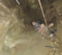 Алга болсон гурав болон таван настай хүүхдүүдийг муу усны нүхнээс эсэн мэнд олжээ
